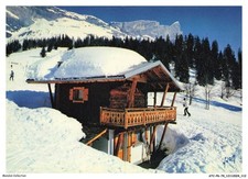ATCP6-0399-74 - PLATEAU D'ASSY - PLAINE DE JOUX - Les pistes - L'aiguille d'ay