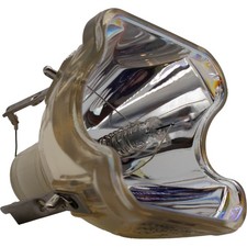 AL™ Series Bulb (Lamp Only)