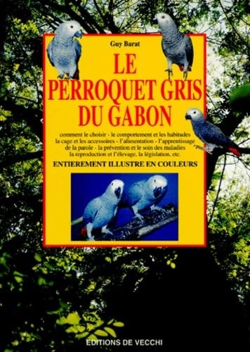 Perroquet gris gabon - gris, du