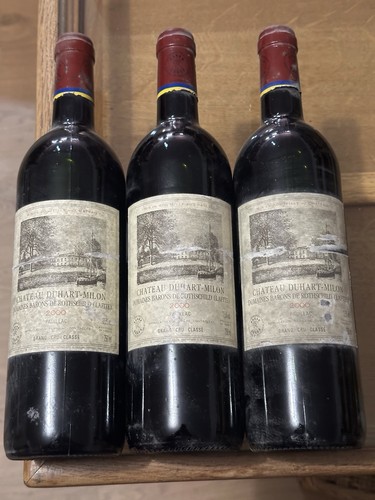 Château duhart milon - château,