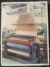 AFFICHE ECOLE ROSSIGNOL