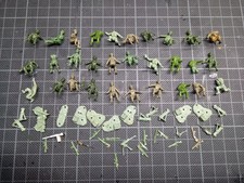 Atlantic Italian modern