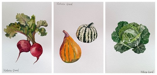 Set aquarelles légumes - 3,