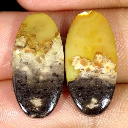 20cts naturel pétrifié - 18.20cts,