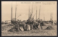 CPA Cancale, Le Triage des Huitres, Apres le retour de la Caravane 