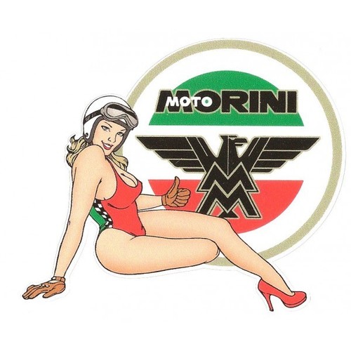 Moto morini right pin - morini, up