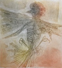 Grande estampe eau forte squelette de pigeon signé OM Bernard Oiseaux 