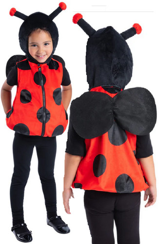 Enfants laydbug déguisement - laydbug,