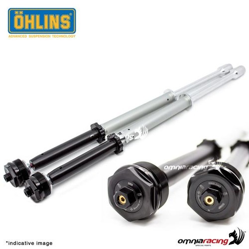 Ohlins fourche cartucho