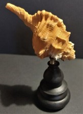 Cabinet de Curiosités