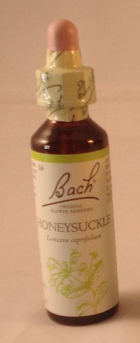 Remède aux fleurs bach - aux, de