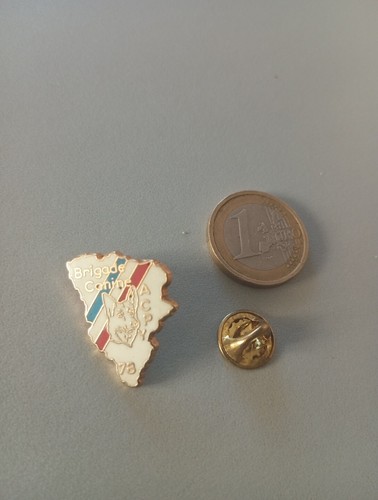 Badge pin broche maitre - s,