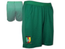 Puma Cameroun Football Shorts