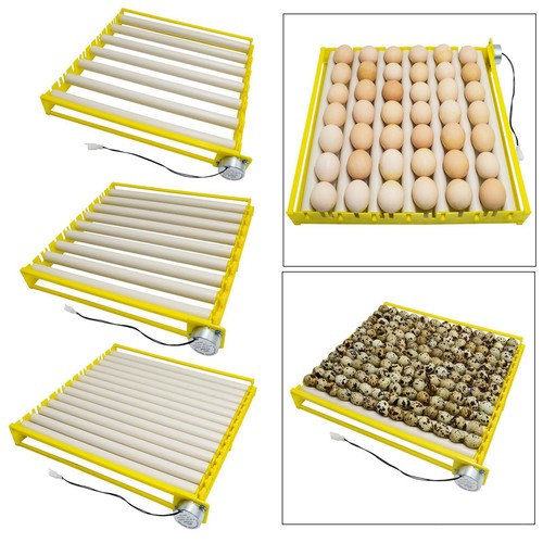 Incubateurs automatiques pour - incubateurs,