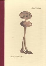 GERARD MALANGA - TOMBOY & OTHER TALES - BOTTLE OF SMOKE PRESS DELUXE ED. #7/10