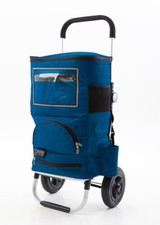 Chariot de plage 3 en 1 -