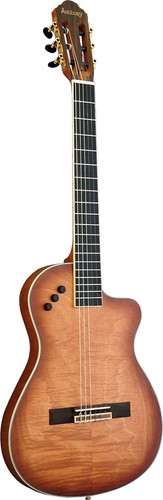 Guitare électro classique - guitare,