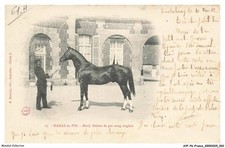 AYFP6-0428-61 - HARAS-DU-PIN - Rueif  - Etalon de pur Sang Anglais - Epoque 19