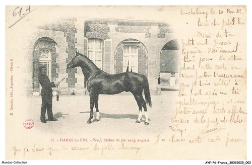 Ayfp6 0428 haras pin - -,