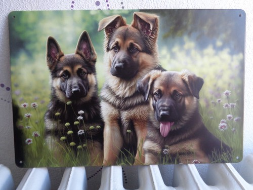Tole metal berger allemand - metal,