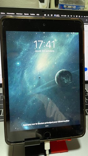 Apple ipad mini - apple, 4