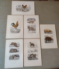 6 ANCIENNES GRAVURES