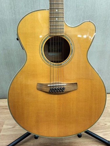 Guitare électrique acoustique