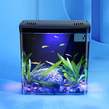 Mini aquarium fish tank - fish,