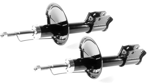 Amortisseur gaz avant - 2x,