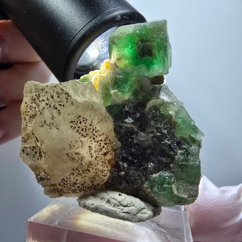 Spécimen rare fluorite - spécimen,