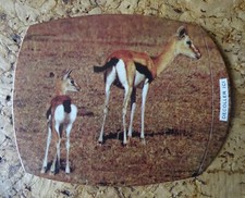 image autocollant LES AMIS DE