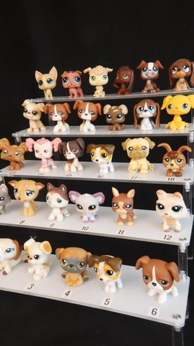 Chiens lps animaux - chiens,