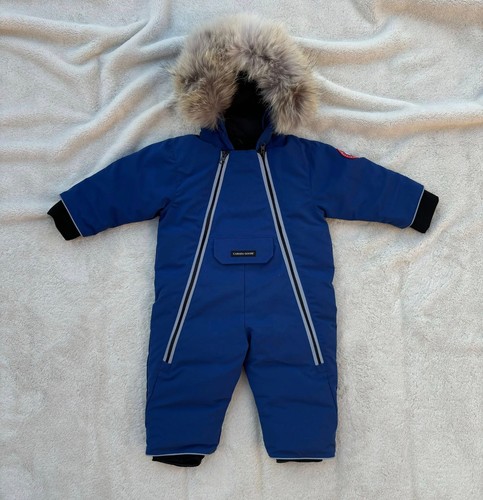 Canada goose kids - canada, baby