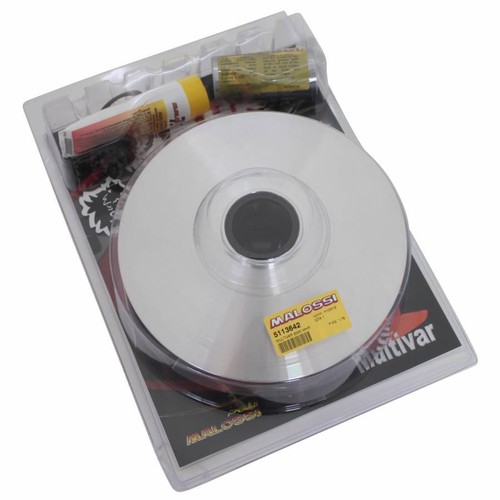 Variateur maxiscooter malossi