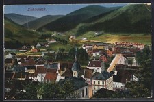 CPA Schirmeck, vue générale über den Dächern 