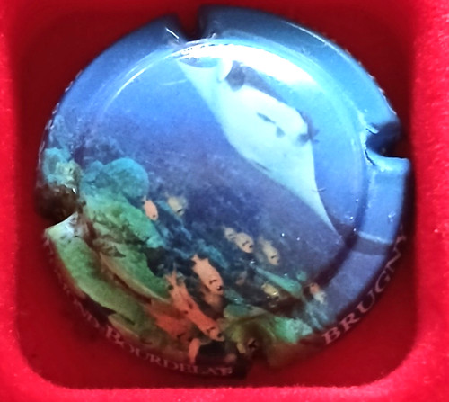 Capsule champagne bourdelat - capsule,
