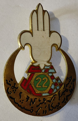 Insigne régiment de - 22°,