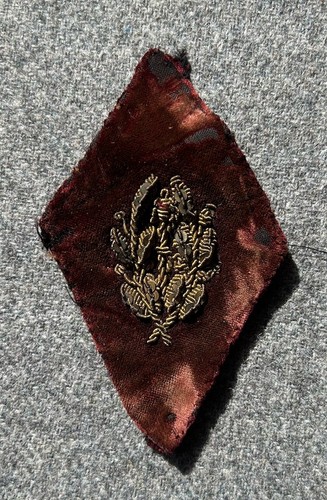 Patte col ssa service santé - patte,