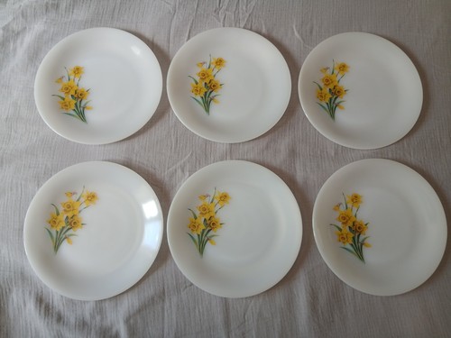 Assiettes plates arcopal - 6,