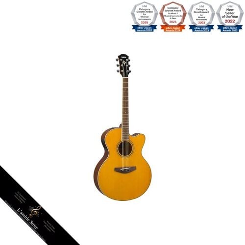 Guitare acoustique électrique