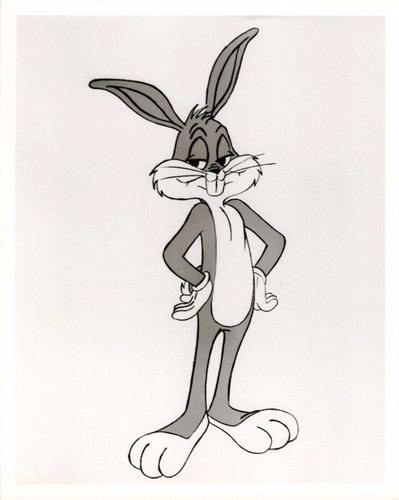 Photo cinema animation looney - photo,