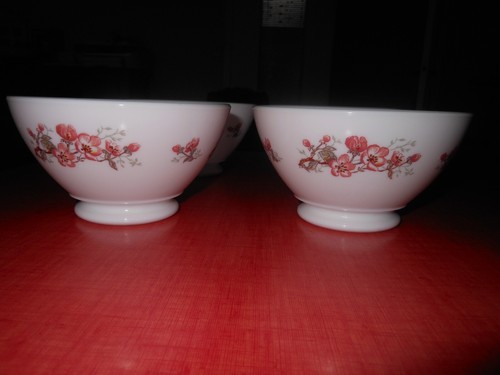 Bols arcopal motif - en,