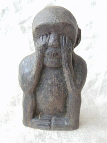 Singe sagesse ebene - singe, en