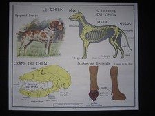 Y011 AFFICHE SCOLAIRE ECOLE