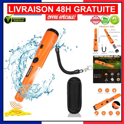 Flintronic détecteur - flintronic,