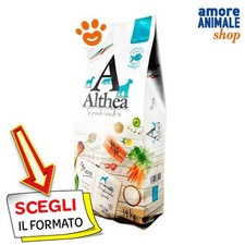 Dagel Althea Chien Moyenne