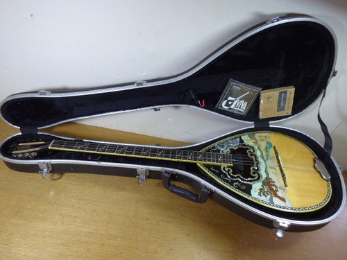 Greek bouzouki professional - professional, 8