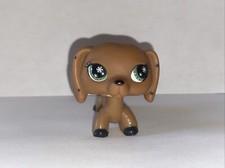 Petshop - Chien teckel