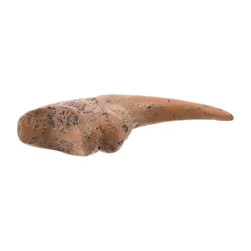Griffe dinosaure en - griffe,