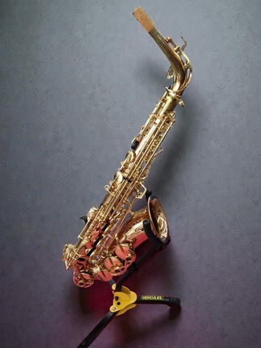 Saxophone alto yanagisawa - alto,